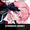 Логотип телеграм канала @strinovahoney — Strinova Honey 🌙