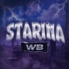 Логотип телеграм канала @strnwb — STARINA WB