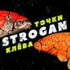 Логотип телеграм канала @strogan_rf4 — Strogan - Русская рыбалка 4