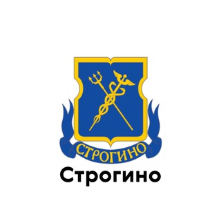 Логотип телеграм канала @stroginotop — Строгино