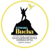 Логотип телеграм канала @strongbucha — БФ"Сильна Буча"БО