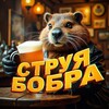 Логотип телеграм канала @strya_bobra — CТРУЯ БОБРА