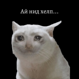 Логотип телеграм канала @stud_inside — Студенческие инсайды