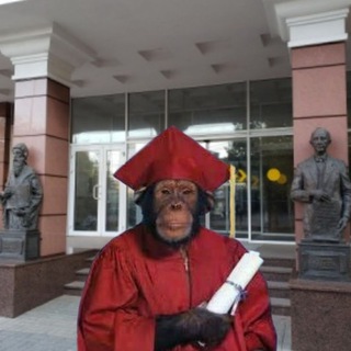 Логотип телеграм канала @studentoleg — Студент Олег Кузнеченко