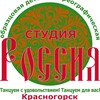 Логотип телеграм канала @studia_russia — Студия "Россия"