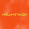 Логотип телеграм канала @studio_nguadi — Научно-образовательный центр НГУАДИ