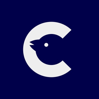 Логотип телеграм канала @studsovet_fci — Студсовет (уже) ФКИ