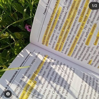 Логотип телеграм канала @studybysaeeva — учеба | мотивация | психология