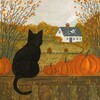 Логотип телеграм канала @studyforyousee — Study🎃