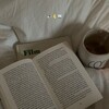 Логотип телеграм канала @studylilka — Lilka читает💌||study girl✨💄