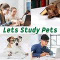 Logo saluran telegram studypetstogether — Let's Study Pets Channel 💪
