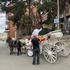 Логотип телеграм канала @stumrebi_sahli — Тбилиси: в гостях и дома