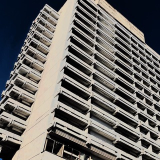 Логотип телеграм канала @stupidityof — philxsxpher 🌾