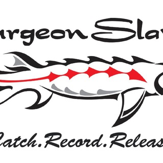 Логотип телеграм канала @sturgeonslayers — Sturgeon Slayers