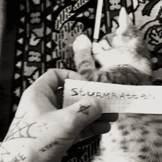 Логотип телеграм канала @sturmratten — Sturmratten