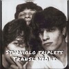 Логотип телеграм канала @sturniolotripletsv — sturniolo triplets translations