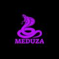 Telgraf kanalının logosu sub_meduzaa — Meduza Channel 🐍🔥🔞