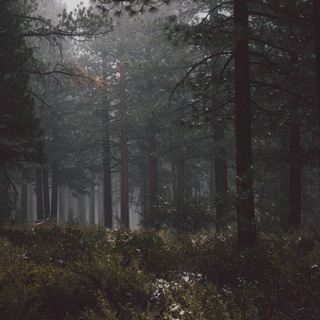 Логотип телеграм канала @submissive_maza — Маза в ошейнике BDSM 18 