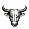 Логотип телеграм канала @success_bull — Формула Успеха | Бизнес и Финансы