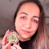 Логотип телеграм канала @succubaraxolka — Суккубарахолка
