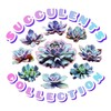 Логотип телеграм канала @succulent_collection — 🪴SUCCULENTS COLLECTION🪴 СУККУЛЕНТЫ КРАСНОДАР🪴