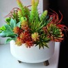 Логотип телеграм канала @succulent_flowers — Суккуленты | Советы по уходу🌵