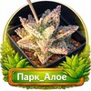 Логотип телеграм канала @succulentdeluxe — Парк_Алое