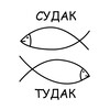 Логотип телеграм канала @sudak_tudak_59 — Судак-тудак
