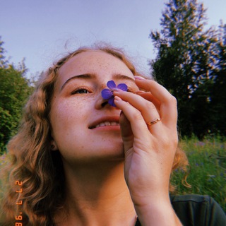 Логотип телеграм канала @suevawrites — pia desideria
