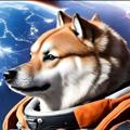 Logo saluran telegram suidogecoinofficial — Sui Dogecoin Official Annoucements