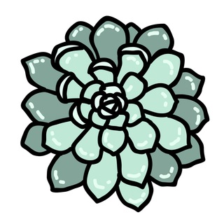 Логотип телеграм канала @sukkulents — Суккуленты 🌵 растения (выращивание)
