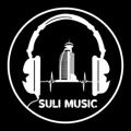 የቴሌግራም ቻናል አርማ sulimusic1 — Suli.Music1