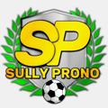 Telegram channel 🥇💸Sully Prono 100% GRATUIT🥇💸 logo