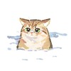 Логотип телеграм канала @sumakotik — Сумакотик 😼