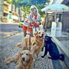 Логотип телеграм канала @summer_asya — ᴨᴏʍᴏщь ᴏᴛ ʍᴀɯии🫶🏻