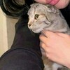 Логотип телеграм канала @summiwwssouull — 𝒔𝒖𝒎𝒎𝒊𝒘𝒘'💕