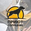 Логотип телеграм канала @sundog_shelter — Приют для собак Солнцево
