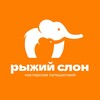 Логотип телеграм канала @sunelephant — Рыжий Слон | Мастерская путешествий