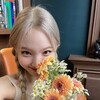 Logo del canale telegramma sunflowerkpopshop1 - 🌻-sunflower kpop shop ⋆ ׁ ฅ ׅ