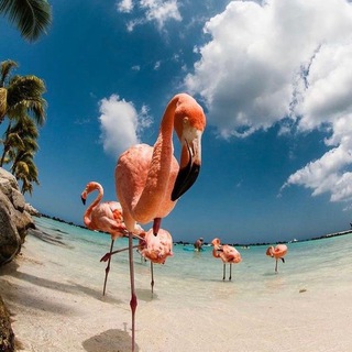 Логотип телеграм канала @sunhunttur — Sun_Hunt_Tur ☀️🏝🌊