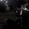 Логотип телеграм канала @sunnypersss — Музыка и Парные