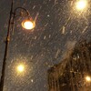 Логотип телеграм канала @sunnyysshop — •ils’s shop•