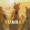 Logo of telegram channel sunraywhi — 𝗦𝘂𝗻𝗥𝗮𝘆 || 𝗪𝗛𝗜 ☀️