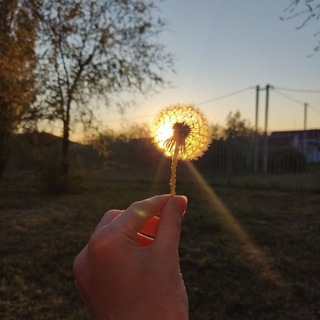 Логотип телеграм канала @sunsets_best — sunsets/Закаты🌄✨