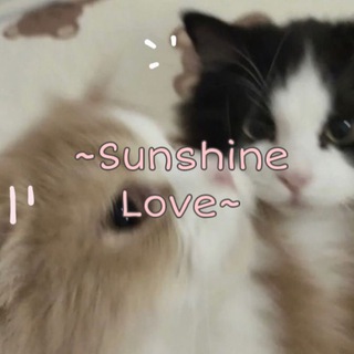 Логотип телеграм канала @sunshinelovefor — Sunshine love | cute place