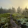 Логотип телеграм канала @suomentuuli — suomen tuuli: о финляндии с любовью 🇫🇮