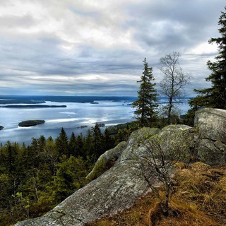 Логотип телеграм канала @suomi_ru — suomi_ru