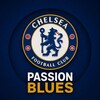Логотип телеграм канала @supaidablues — Passion Blues