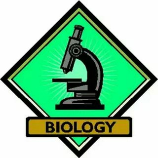 Telegram kanalining logotibi superbio2021 — .♡☆Sᵁᴾᴱᴿ_ᴮᴵᴼᴸᴼᴳᴵʸᴬ☆♡ ✿⇣