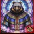 Logo saluran telegram supercryptoinu — Super crypto bear 🐻 inu ⚕️⚕️